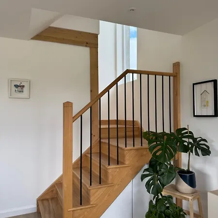 Nettles & Petals كينمير